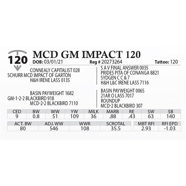 MCD GM IMPACT 120