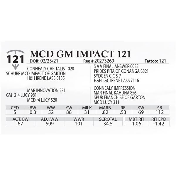 MCD GM IMPACT 121