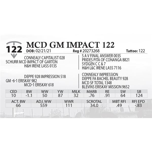 MCD GM IMPACT 122