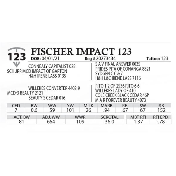 FISCHER IMPACT 123