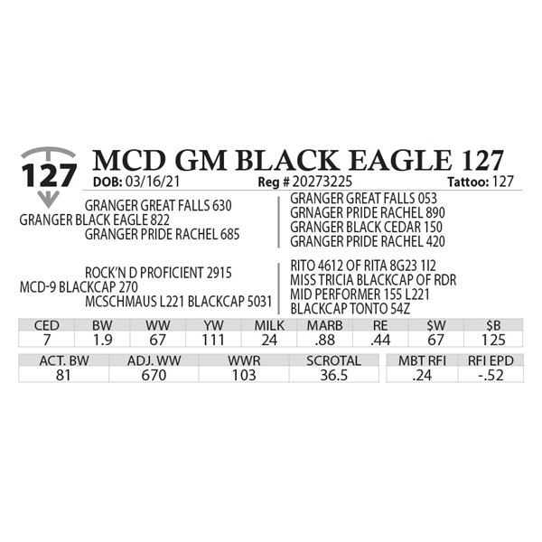 MCD GM BLACK EAGLE 127