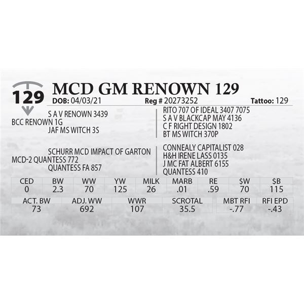 MCD GM RENOWN 129