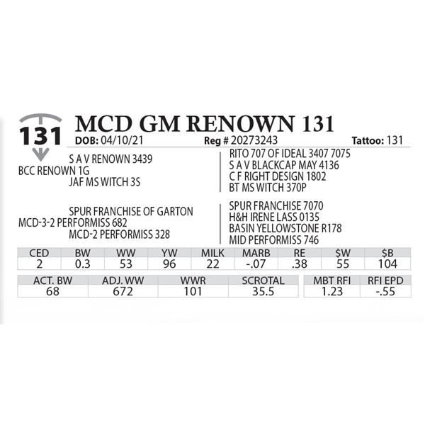 MCD GM RENOWN 131