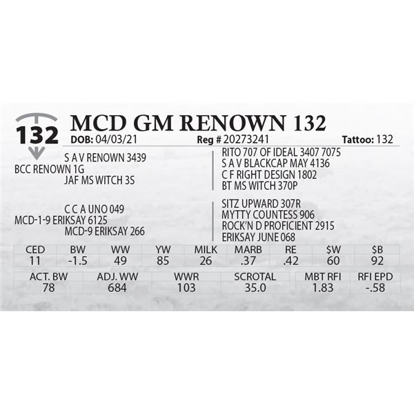 MCD GM RENOWN 132