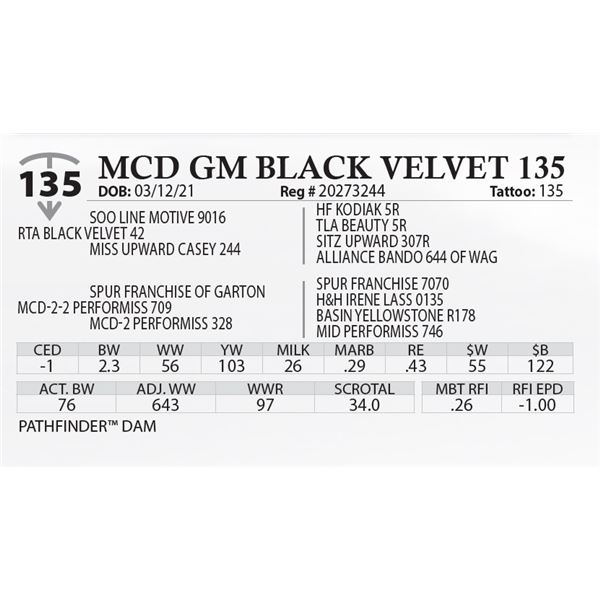 MCD GM BLACK VELVET 135