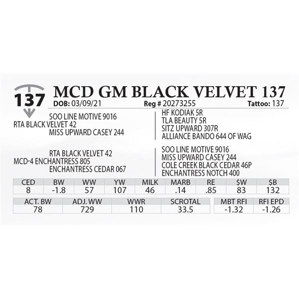 MCD GM BLACK VELVET 137