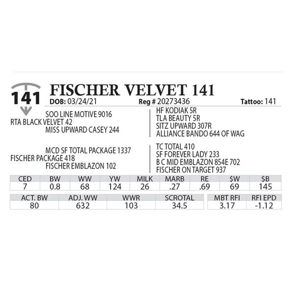 FISCHER VELVET 141