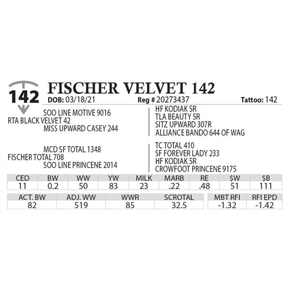 FISCHER VELVET 142