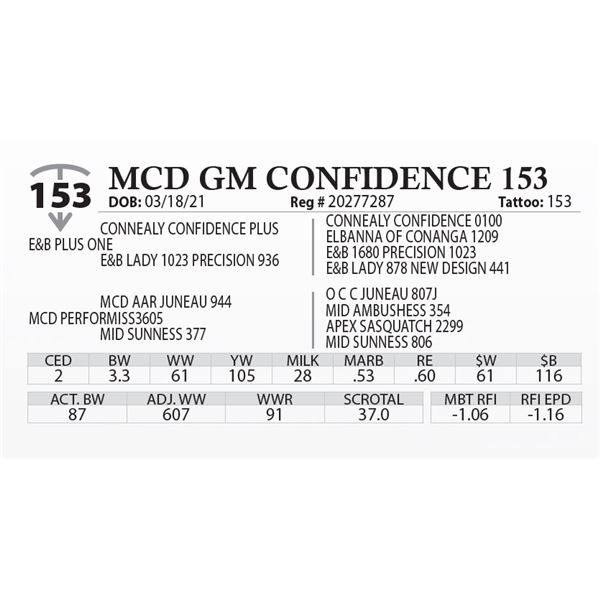 MCD GM CONFIDENCE 153