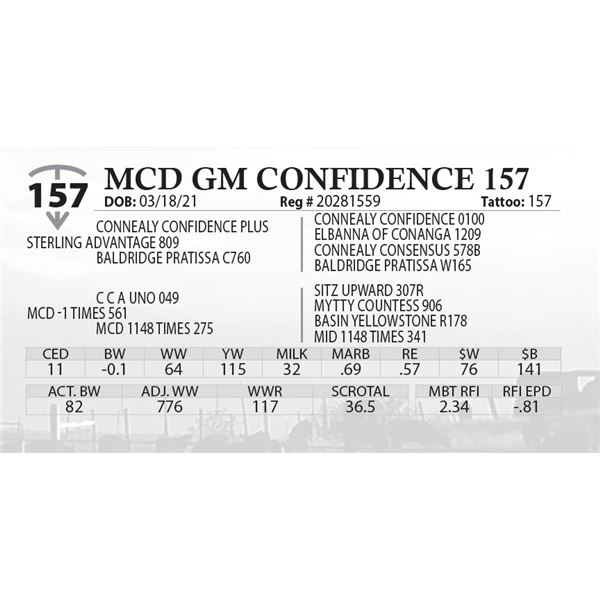 MCD GM CONFIDENCE 157