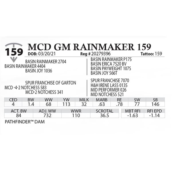 MCD GM RAINMAKER 159