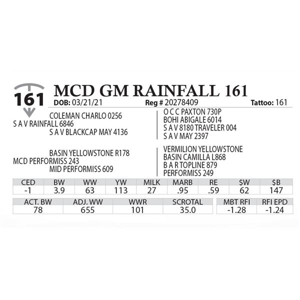 MCD GM RAINFALL 161