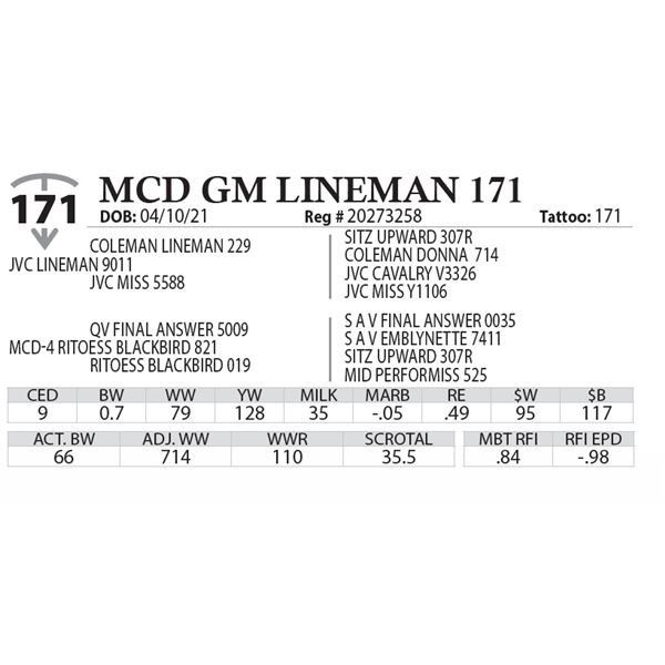 MCD GM LINEMAN 171