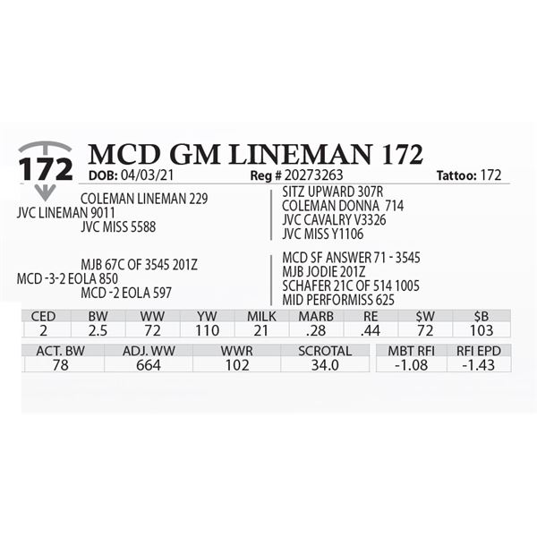 MCD GM LINEMAN 172