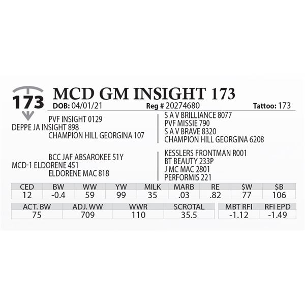 MCD GM INSIGHT 173