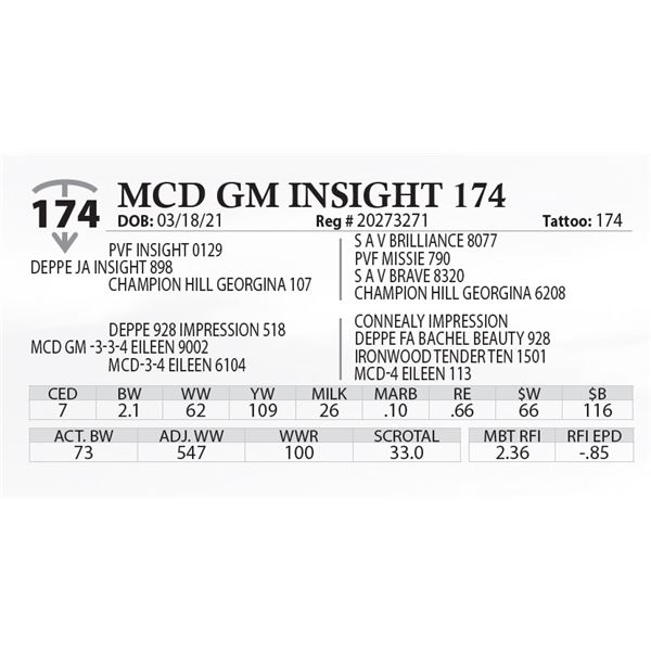 MCD GM INSIGHT 174