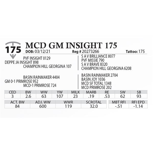 MCD GM INSIGHT 175