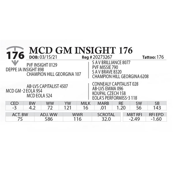 MCD GM INSIGHT 176