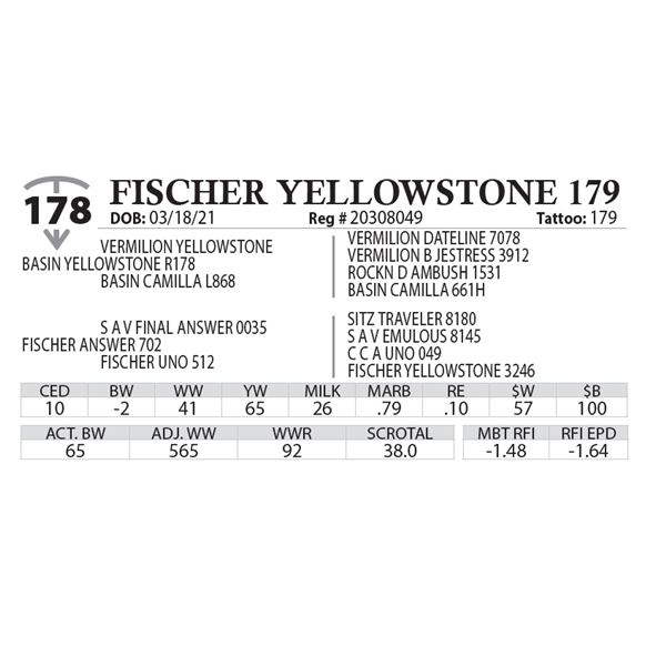 FISCHER YELLOWSTONE 179