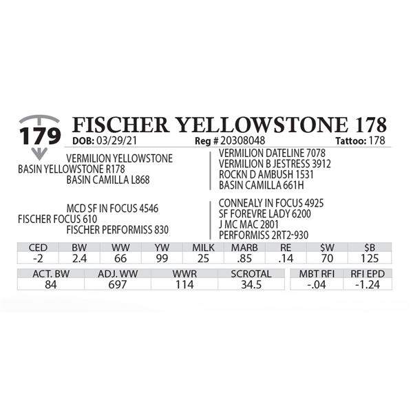 FISCHER YELLOWSTONE 178