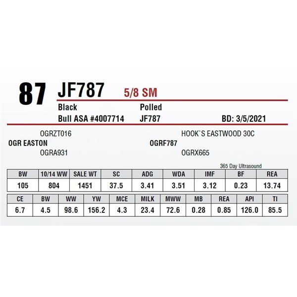 Simm: 5/8 Bull