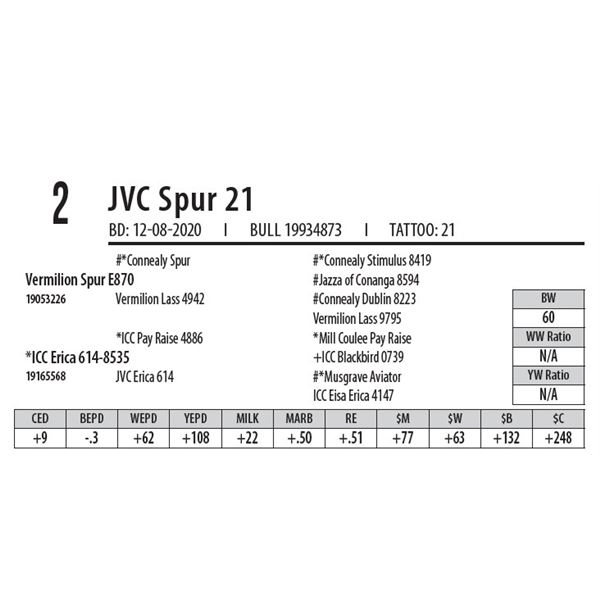 JVC SPUR 21