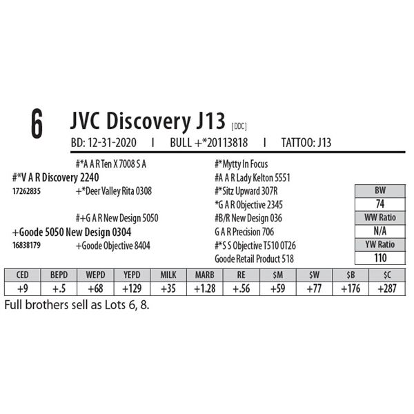 JVC DISCOVERY J13