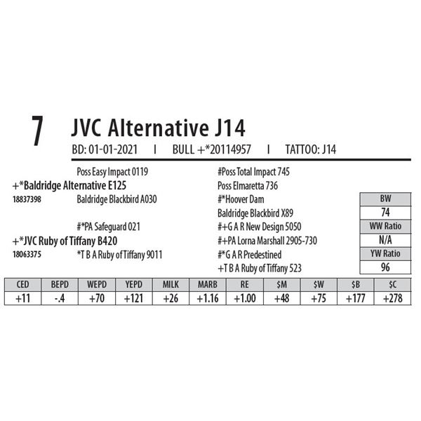 JVC ALTERNATIVE J14