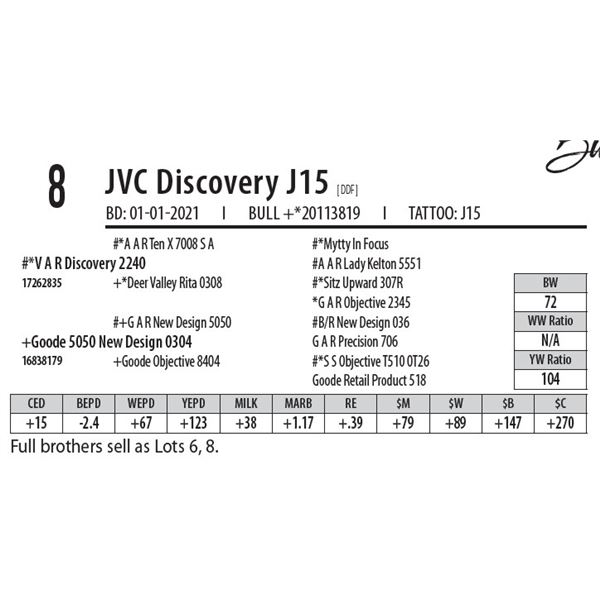 JVC DISCOVERY J15