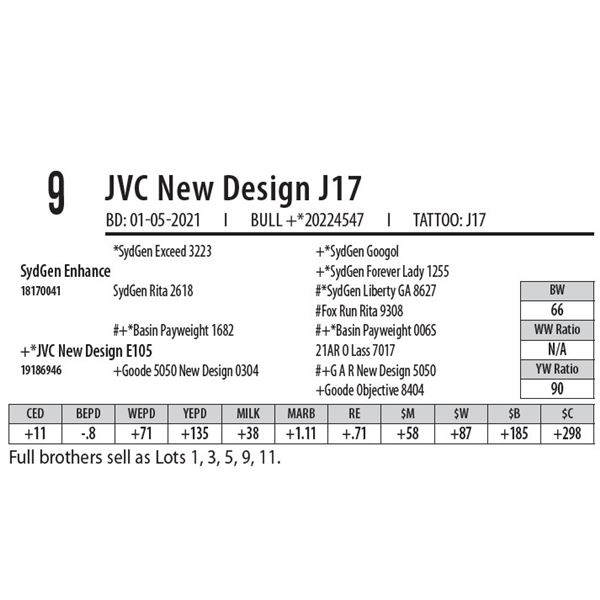 JVC NEW DESIGN J17