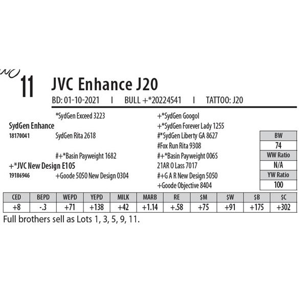 JVC ENHANCE J20