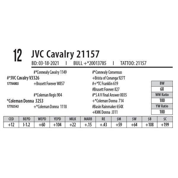 JVC CAVALRY 21157