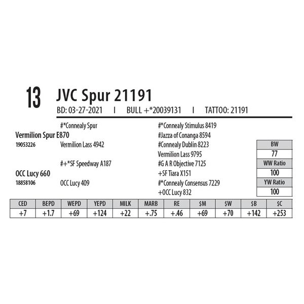 JVC SPUR 21191