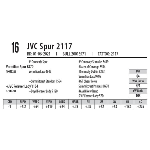 JVC SPUR 2117