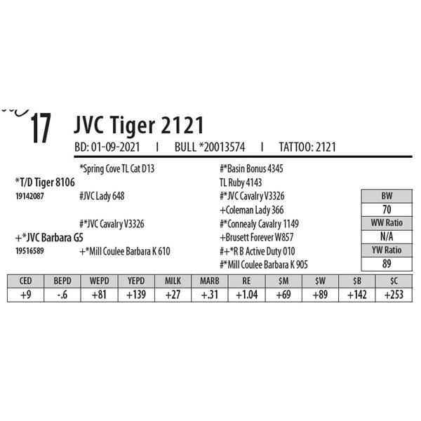 JVC TIGER 2121