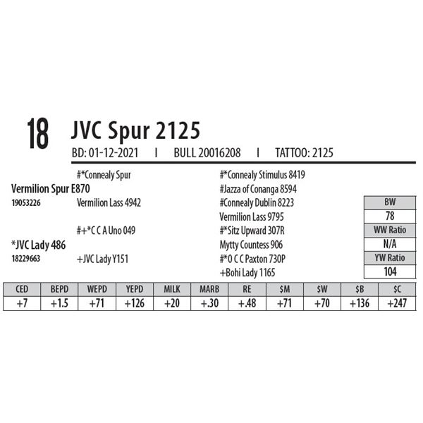 JVC SPUR 2125