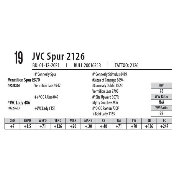 JVC SPUR 2126