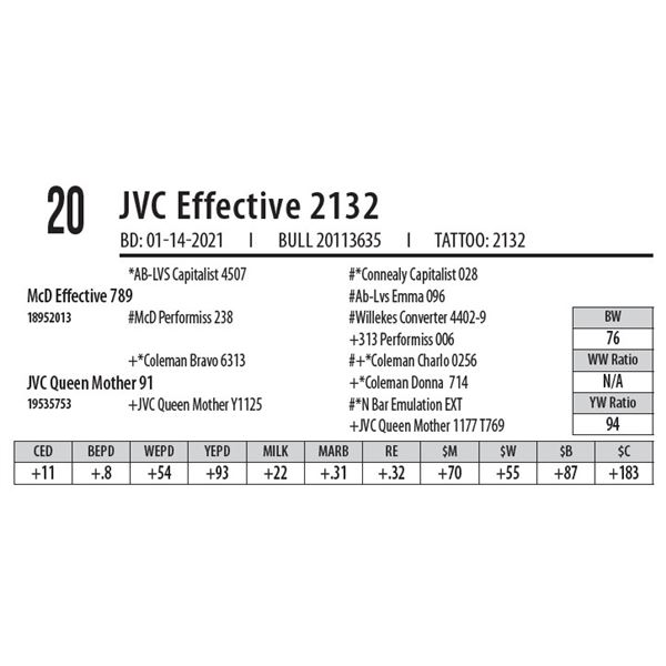 JVC EFFECTIVE 2132