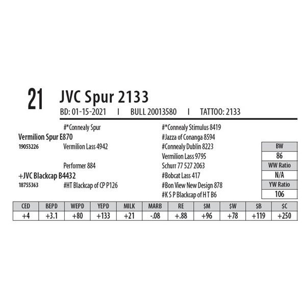 JVC SPUR 2133