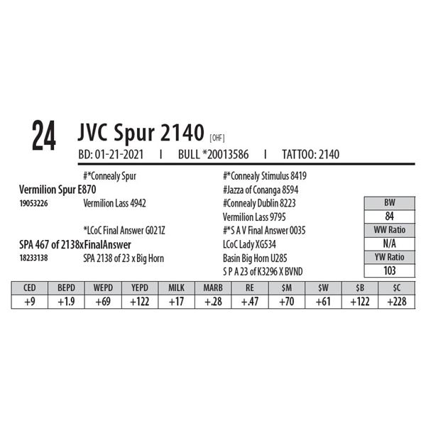 JVC SPUR 2140