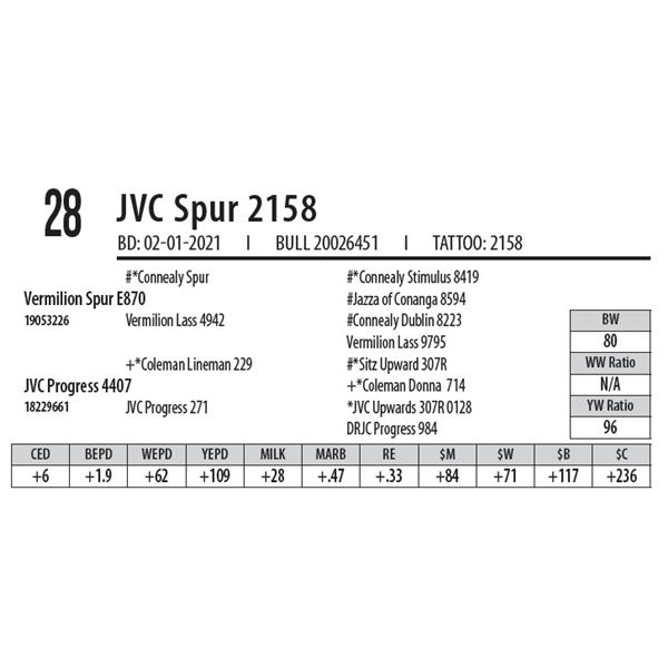 JVC SPUR 2158