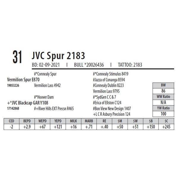 JVC SPUR 2183