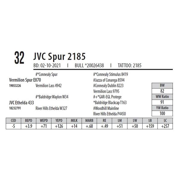 JVC SPUR 2185