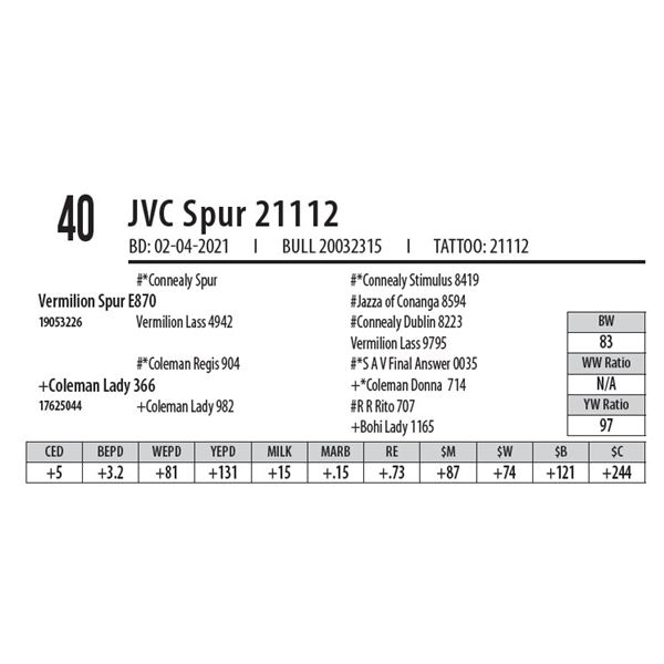 JVC SPUR 21112