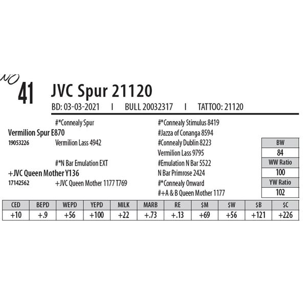 JVC SPUR 21120