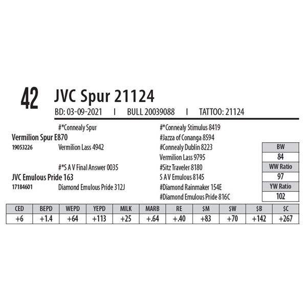 JVC SPUR 21124