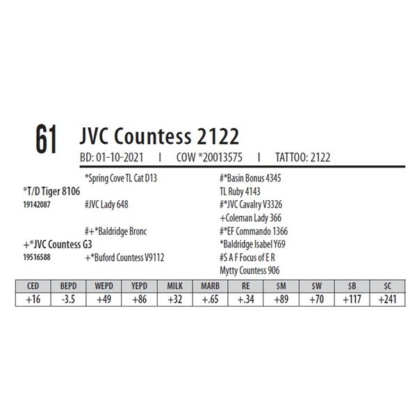 JVC COUNTESS 2122