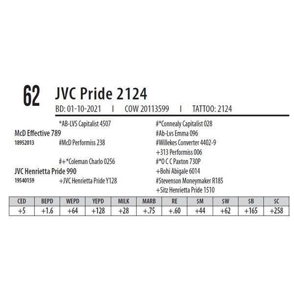 JVC PRIDE 2124