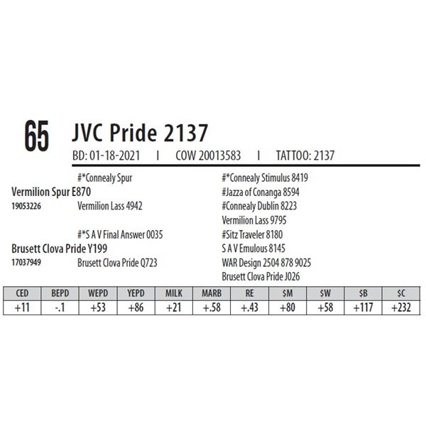 JVC PRIDE 2137