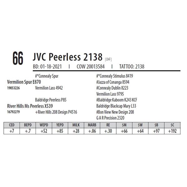 JVC PEERLESS 2138